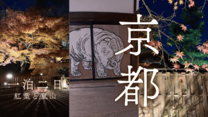 紅葉巡り嵐山編