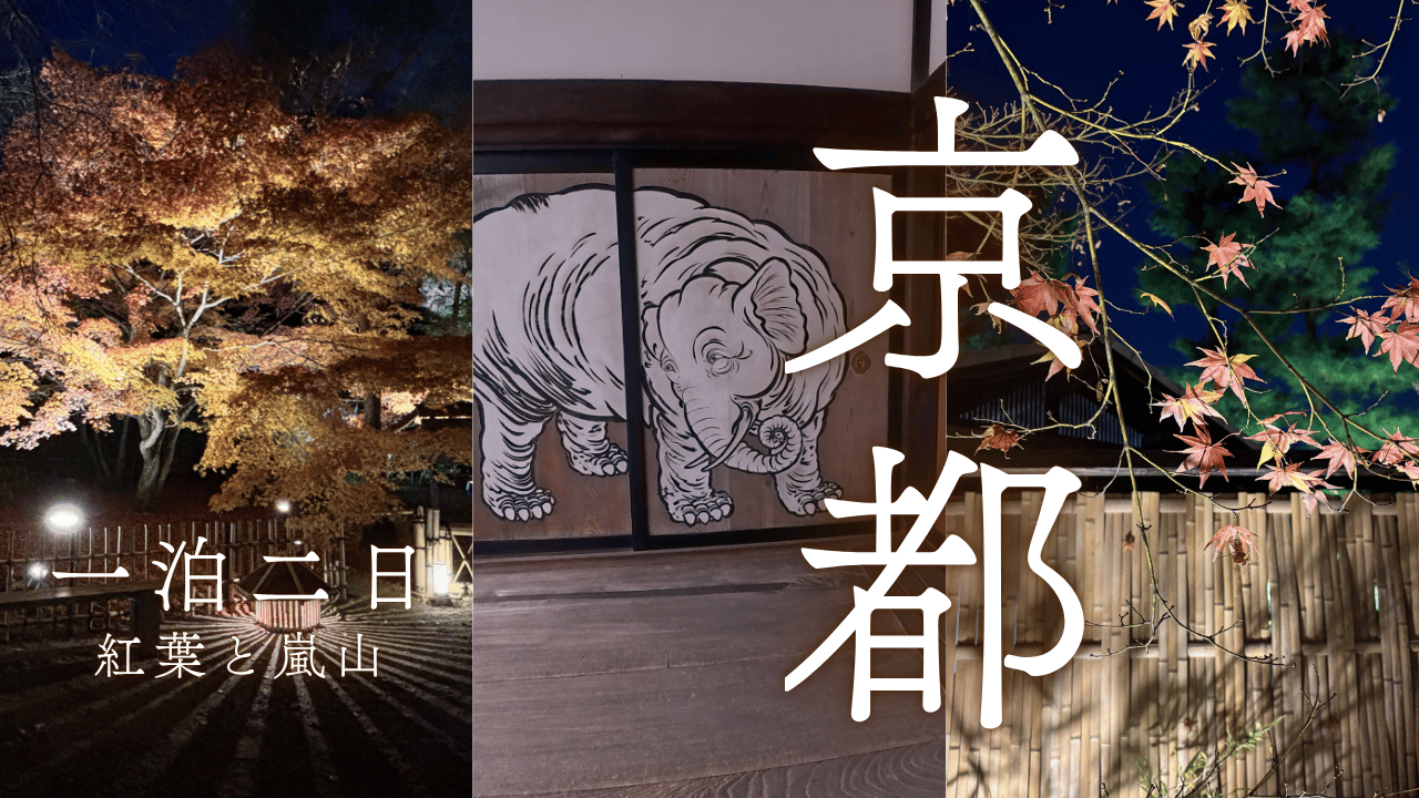 紅葉巡り嵐山編
