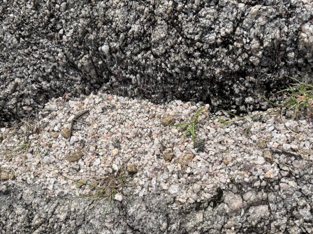 ローズクオーツマウンテンの石
