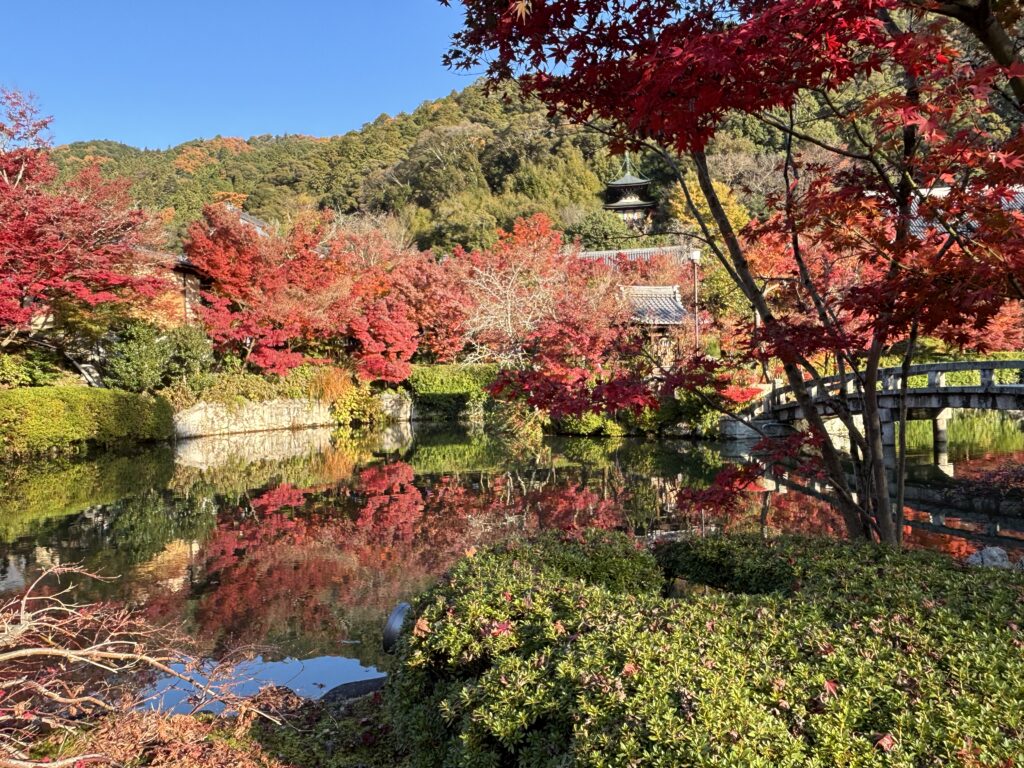 永観堂の紅葉と多宝塔