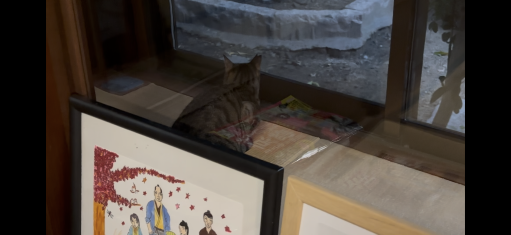 本光寺の猫