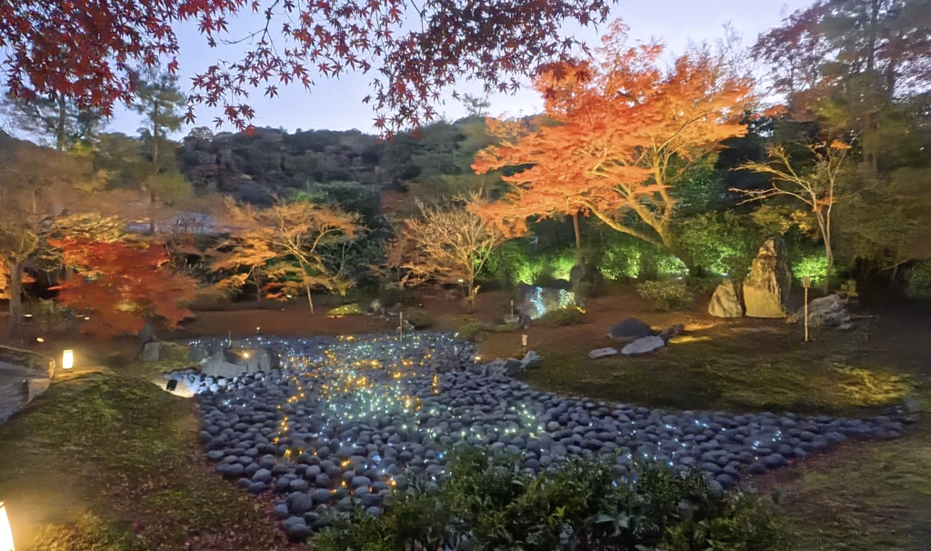 宝厳院の紅葉ライトアップ