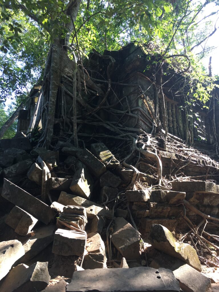 ベンメリアの木が絡まった遺跡