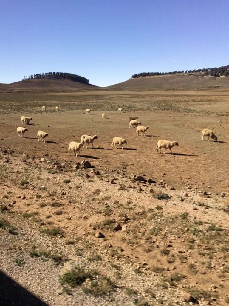 アトラス山脈を超えた後のバスの車窓からの風景