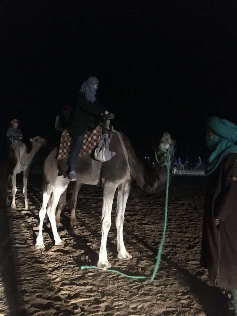 行きのラクダ移動